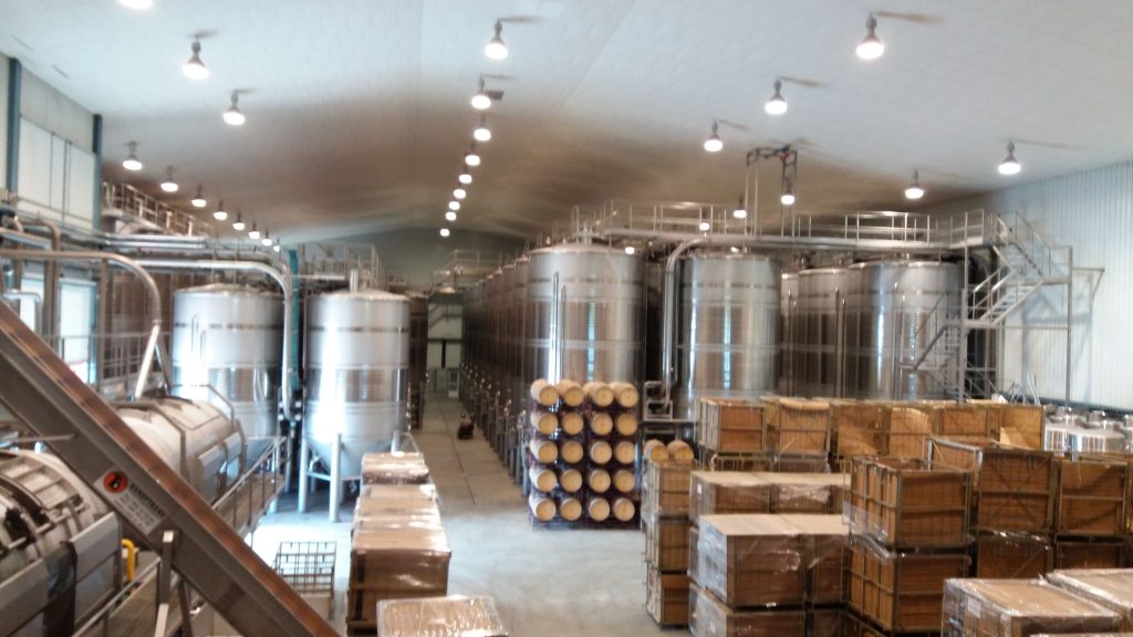 Los alumnos del MUIOL visitan la cooperativa vinícola La Viña de la Font de la Figuera