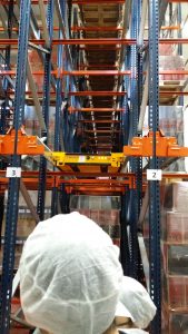 Los alumnos del MUIOL visitan la cooperativa vinícola La Viña de la Font de la Figuera